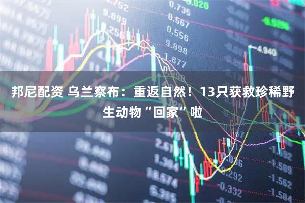 邦尼配资 乌兰察布：重返自然！13只获救珍稀野生动物“回家”啦